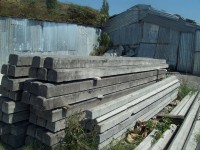 /album/foto/a100-0464-jpg/