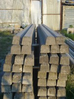 /album/foto/imgp1849-jpg/