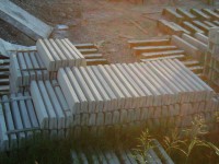 /album/foto/imgp1850-jpg/