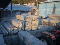 /album/foto/imgp1873-jpg/