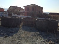 /album/foto/img-2827-jpg/