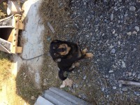 /album/foto/img-2832-jpg/