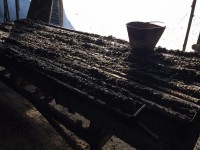 /album/foto/img-2846-jpg/